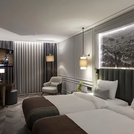Hotel Livro